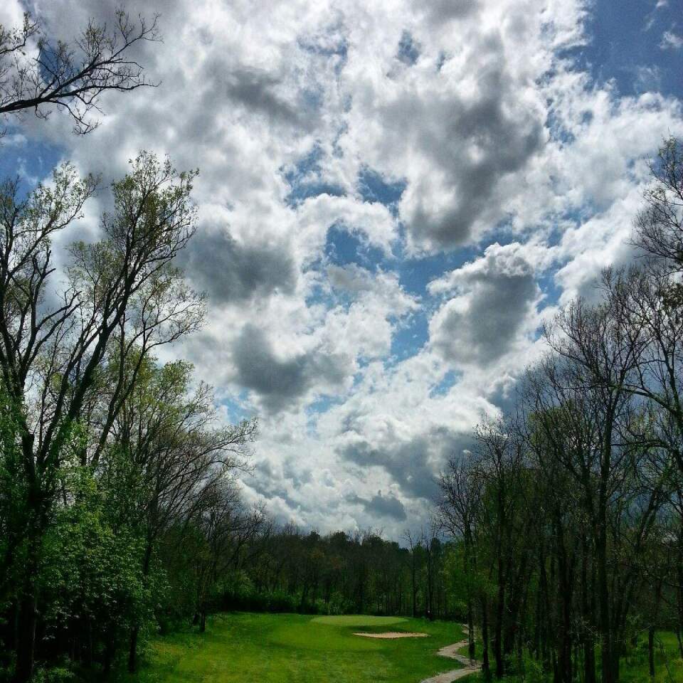 Golf course view from foliage with fluffy white clouds in the sky 