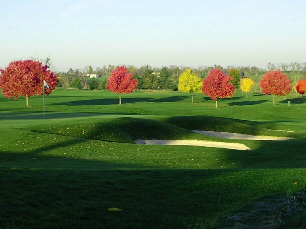 Colorful trees on golf course